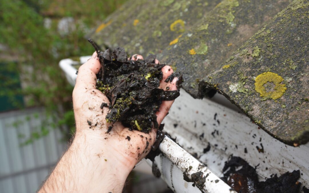 Why Gutter Cleaning Services Are Necessary To Save Your Foundations