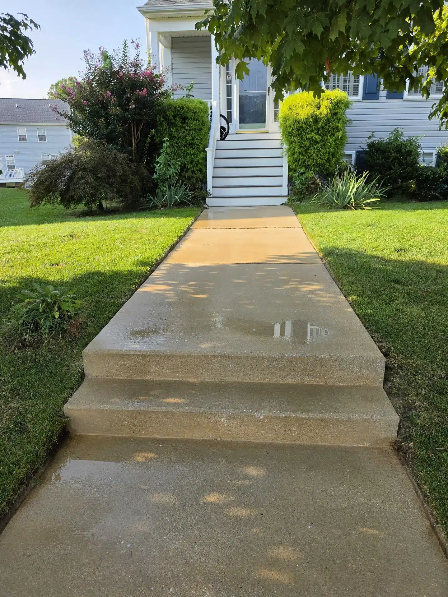 Concrete walkway and steps after cleaning