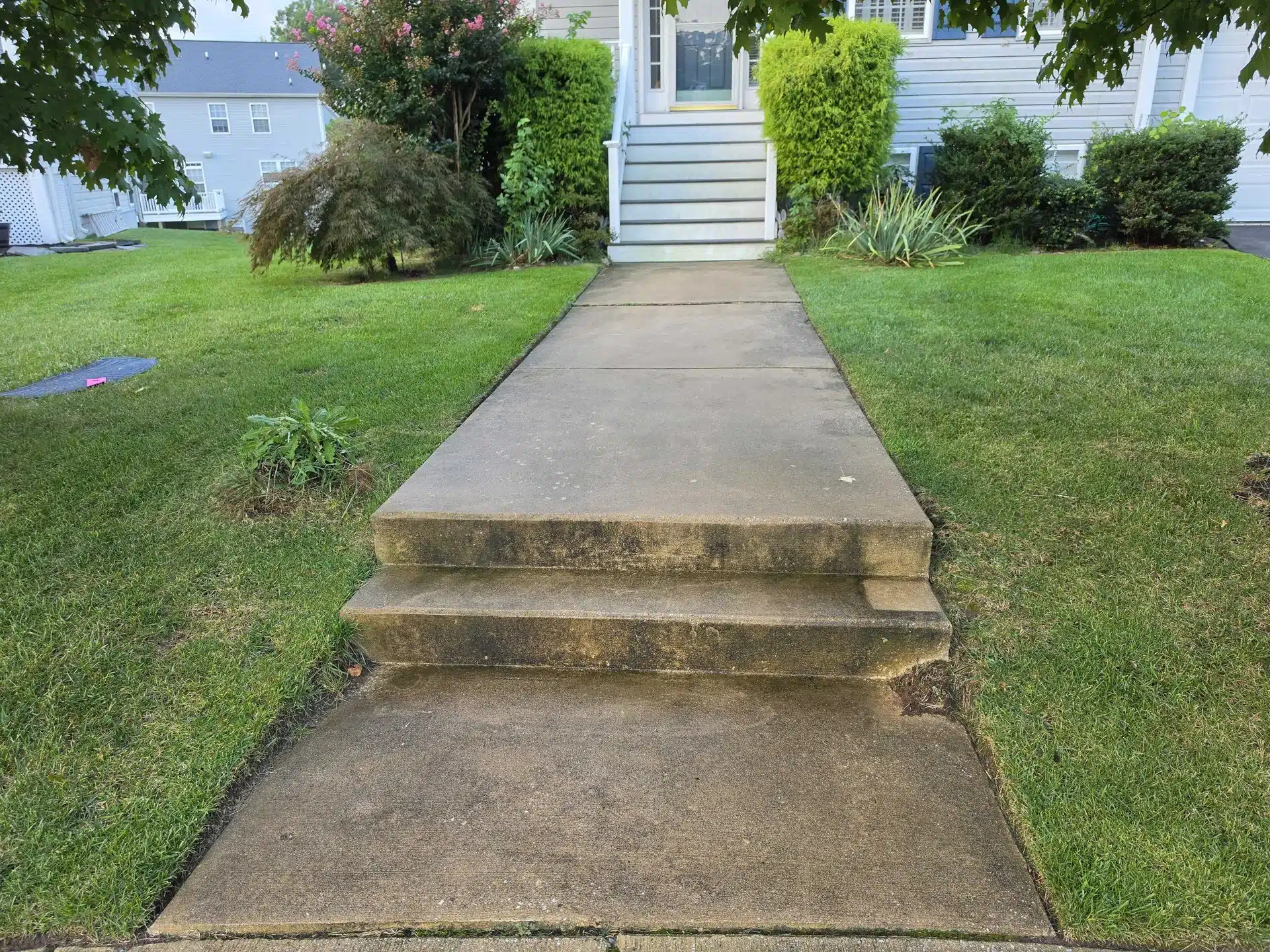 Concrete walkway and steps before cleaning